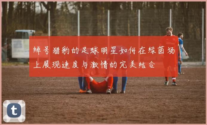 绰号猎豹的足球明星如何在绿茵场上展现速度与激情的完美结合