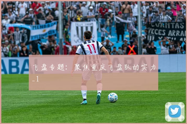 飞盘专题：聚焦重庆飞盘队的实力_1