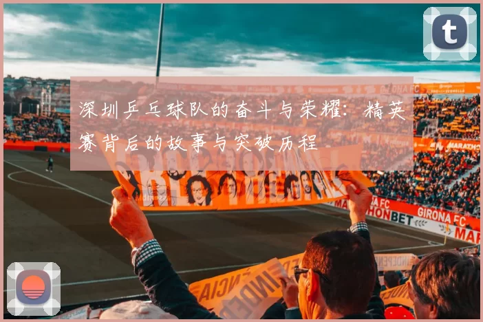 深圳乒乓球队的奋斗与荣耀：精英赛背后的故事与突破历程