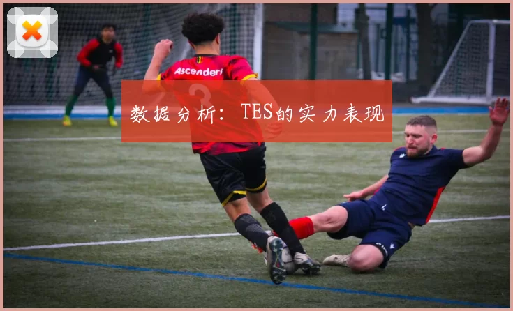 数据分析：TES的实力表现